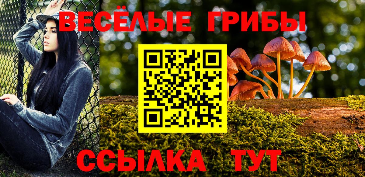 Псилоцибиновые грибы Psilocybine cubensis Петропавловск-Камчатский