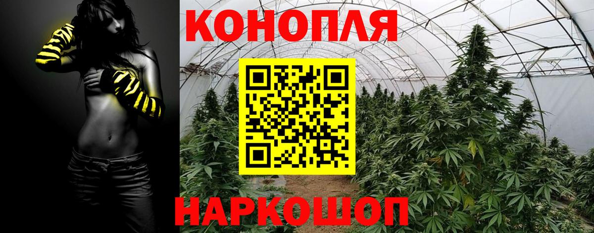 Шишки марихуана марихуана  Каннабис THC 21%  Канабис сатива  Петропавловск-Камчатский  Марихуана LSD WEED  Вход с VPN 